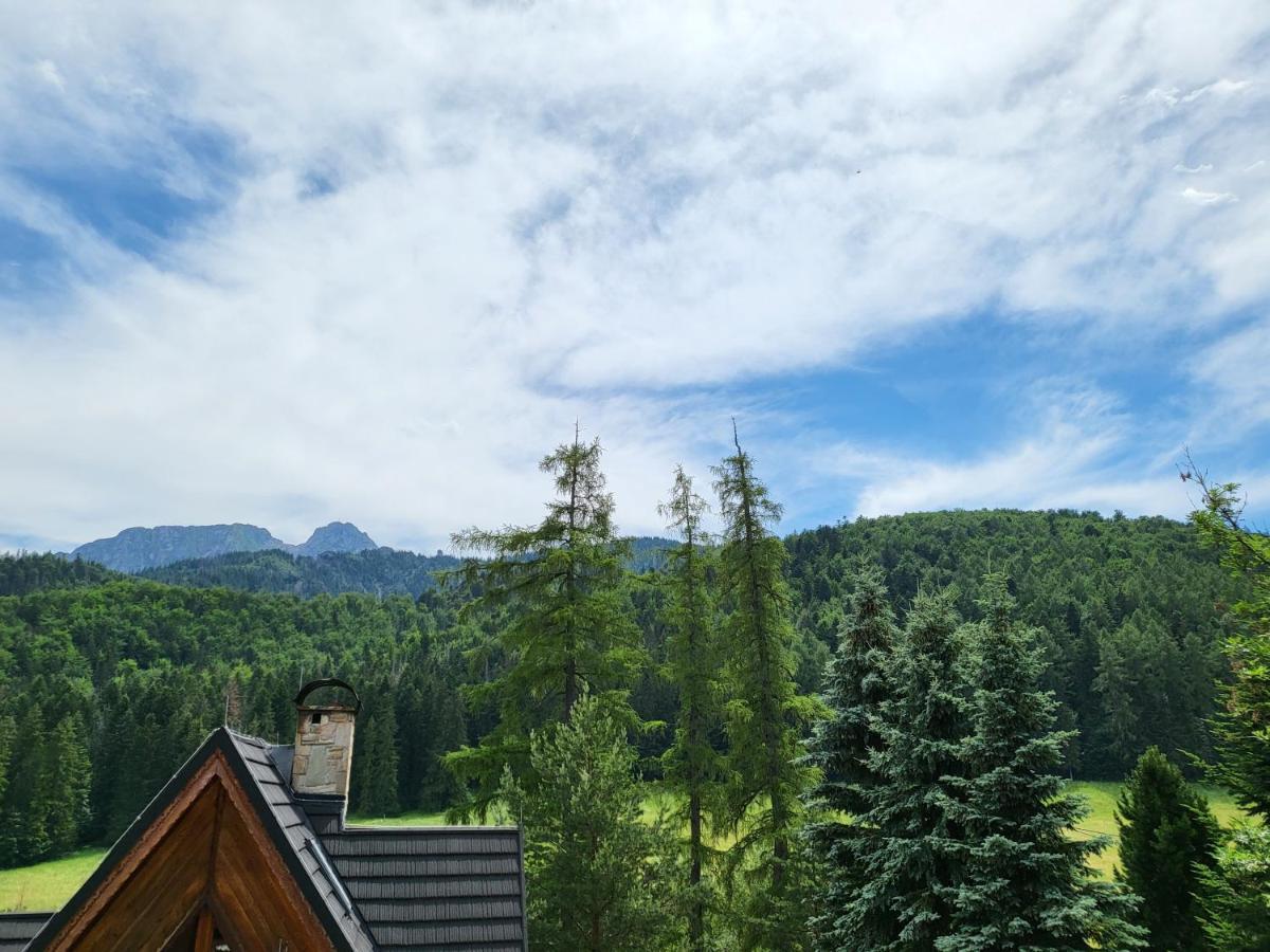 Willa Na Potoku Zakopane Bagian luar foto